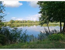 Ein ruhiger See, umgeben von Bäumen und Schilfgras, unter einem blauen Himmel mit weißen Wolken; im Vordergrund ist eine grüne Wiese mit vereinzelten Bäumen zu sehen.