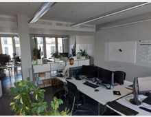 Großraumbüro mit mehreren Schreibtischen, ausgestattet mit Monitoren, Tastaturen und Bürostühlen. Im Vordergrund stehen grüne Zimmerpflanzen, während im Hintergrund große Fenster natürliches Licht in den Raum lassen; an der Wand hängt ein Whiteboard.