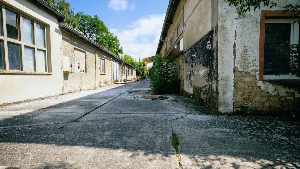 Eine verlassen wirkende Hofanlage mit alten, teilweise verfallenen Gebäuden aus Putz und Ziegeln. Der gepflasterte Hof ist von Bäumen und Sträuchern umgeben, die teils an den Wänden hochwachsen.