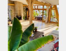 Ein heller Wohnraum mit großen Holzträgern, einer Steinwand mit Kamin und einer Glasfront, die zu einer Terrasse oder einem Wintergarten führt. Im Vordergrund befinden sich große grüne Blätter von Zimmerpflanzen, ein Couchtisch und ein Sofa.