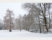 Schneebedeckter Park mit vereinzelt stehenden Bäumen, deren Äste von Schnee bedeckt sind. Im Hintergrund ist ein kleiner, teilweise zugefrorener Fluss zu sehen.