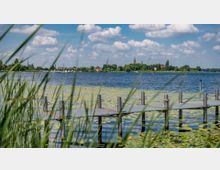 Ein See mit zahlreichen Seerosen, im Vordergrund ein Steg aus Metall und Schilfgräser. Im Hintergrund sind eine kleine Stadt mit Kirchtürmen, Häusern und Bäumen sowie blauer Himmel mit Wolken zu sehen.