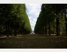 Eine Allee mit hohen, dicht aneinandergereihten Bäumen, die in einem symmetrischen Muster stehen und eine breite, laubbedeckte Wegfläche säumen. Im Hintergrund ist ein Torbogen zu sehen, hinter dem der Himmel mit einzelnen Wolken erkennbar ist.