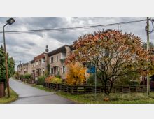 Eine Wohnstraße mit Reihenhäusern aus hellem Putz, begleitet von Gärten und Bäumen mit Herbstlaub. Im Vordergrund steht ein Baum mit rot-gelben Blättern, und ein Straßenschild mit „Birkenfelder Weg“ ist zu sehen; der Himmel ist bewölkt.