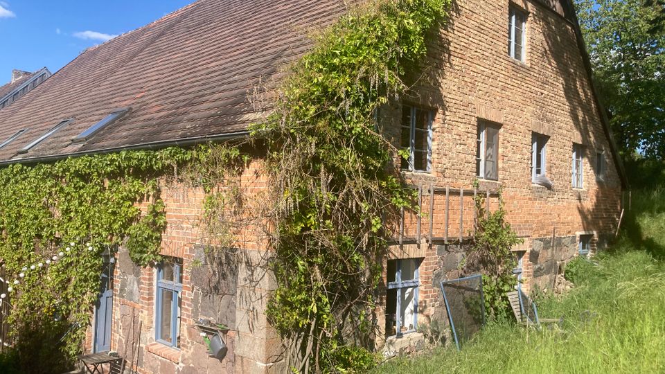 Backsteinbauernhaus mit steilem Satteldach, bewachsen mit Kletterpflanzen. Mehrere Fenster und Glasdachfenster, umgeben von einer Wiese und einigen Bäumen im Hintergrund.