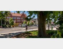 Straßenszene mit einem roten Backsteingebäude der "Medizinischen Hochschule Brandenburg" im Hintergrund, umgeben von Bäumen und einer Straßenbahnstation. Im Vordergrund ein großer Baum, ein Gehweg und grüne Pflanzen, durch die das Bild teilweise eingerahmt wird.