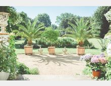 Ein gepflegter Garten mit einer Sandfläche im Vordergrund, gesäumt von Palmen und einem Orangenbaum in Holzkübeln. Im Hintergrund befinden sich eine grüne Rasenfläche, dichte Büsche und hohe Bäume.