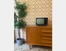 Vintage-Wohnzimmerecke mit gemusterter Retro-Tapete und geometrisch gefliestem Boden. Ein Holz-Sideboard mit Schubladen trägt einen alten Röhrenfernseher; daneben steht eine große Topfpflanze.