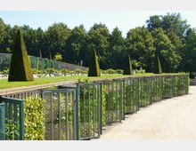 Ein geometrisch gestalteter Garten mit Rasenflächen und kegelförmigen Buchsbäumen, kombiniert mit gläsernen Kastenstrukturen, die Pflanzen einschließen, vor einem Hintergrund aus hohen Bäumen. Ein Kiesweg verläuft parallel zu den Pflanzenkästen.