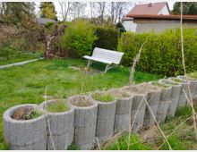 Ein Garten mit einer weißen Parkbank im Hintergrund, umgeben von grünen Büschen und Bäumen. Im Vordergrund ist eine Reihe aus Beton-Pflanzringen mit vertrockneten Pflanzen zu sehen.