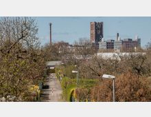 Ein schmaler Weg in einer Kleingartenanlage, gesäumt von blühenden Sträuchern und Bäumen, führt in Richtung bebauter Stadtlandschaft. Im Hintergrund sind Industriegebäude mit einem hohen Schornstein und einem markanten, rötlichen Backsteinturm zu sehen.