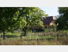 Gelbes Wohnhaus mit rotem Ziegeldach, umgeben von einem Garten mit hohen Bäumen und naturbelassenem Holzzaun. Im Vordergrund befinden sich Grasflächen und Wildpflanzen.