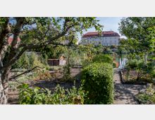 Ein Kleingarten mit Obstbäumen, Sträuchern und Beeten, durchzogen von einem gepflasterten Weg, im Hintergrund ein See und ein großes Gebäude mit roten Dächern.