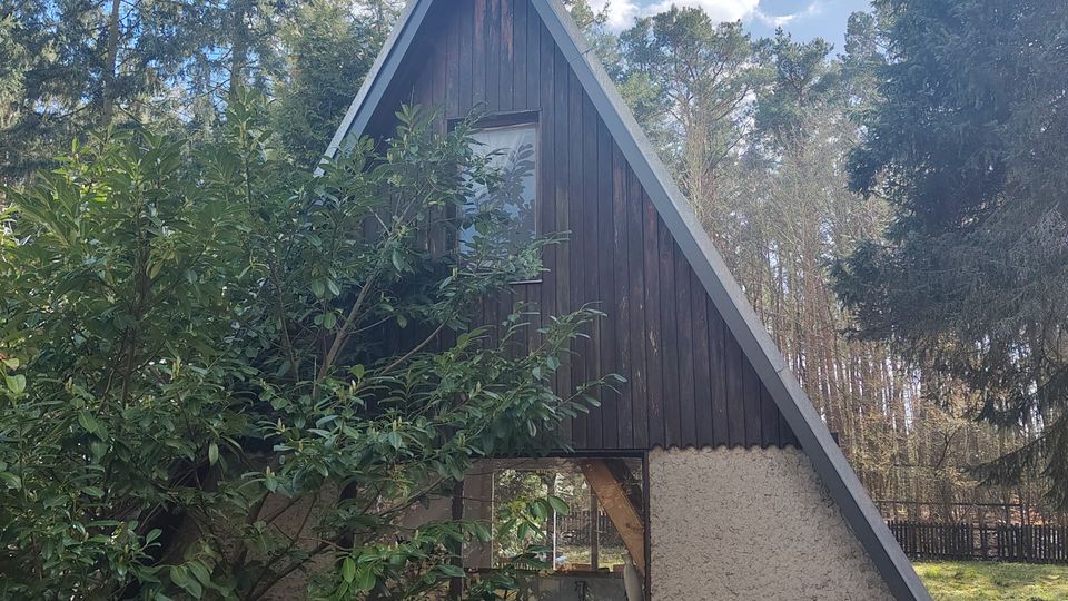 Holzhütte in A‑Rahmen-Architektur mit steilem Satteldach und kleinem Fenster im Giebel, teilweise von einem großen Strauch verdeckt. Das Gebäude steht auf einer Waldlichtung, umgeben von hohen Nadelbäumen, mit Rasenfläche und Gartenschlauch im Vordergrund.