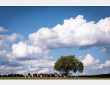 Eine Gruppe von Menschen steht auf einer Wiese neben einem großen, alleinstehenden Baum unter einem Himmel mit vielen weißen Wolken. Im Hintergrund sind Bäume am Horizont zu sehen.