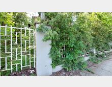 Weißer Metallzaun mit geometrischem Muster, teilweise von dichtem Grünbewuchs bedeckt, neben einer grauen Betonsäule. Im Hintergrund befindet sich üppige Vegetation mit Bäumen und Sträuchern, und der Boden ist mit Laub und Pflastersteinen bedeckt.