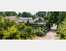 Wohnsiedlung mit modernen Einfamilienhäusern, umgeben von grünen Bäumen und Gärten. Eine unbefestigte Straße führt durch die Siedlung, gesäumt von Zäunen und geparkten Autos.