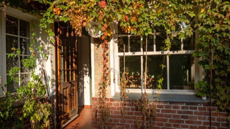 Eingangsbereich eines Hauses mit weißer Fassade und roten Ziegeln, großer Sprossenfensterfront und geöffneter Holztür. Rankpflanzen und Laub überwuchern die Veranda, davor stehen mehrere Topfpflanzen auf terrakottafarbenen Fliesen.