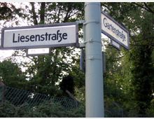 Straßenschilder an einer Straßenkreuzung mit den Namen „Liesenstraße” und „Gartenstraße” an einem Metallmast, umgeben von dichtem Grün und einem Drahtzaun im Hintergrund.