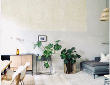 Minimalistisch eingerichtetes Wohnzimmer mit grauem Sofa, großer Monstera-Pflanze in einem Holzbehälter, hellgrauer Wand, hölzernem Sideboard mit schwarzem Rahmen und Körben mit weißen Kissen. Eine Hängeleuchte aus geflochtenem Rattan hängt von der Decke.