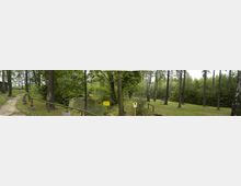 Ein Waldweg führt durch eine bewaldete Grünfläche mit hohen Bäumen und vereinzelten Sträuchern. Der Bereich ist von einem Holzzaun umgeben, mit bunten Blumen in Betonpflanzkübeln dekoriert, und Hinweisschilder stehen entlang des Pfades.