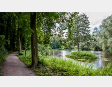 Ein Waldweg verläuft links neben einem Teich mit einer kleinen, bewachsenen Insel in der Mitte. Umgeben von zahlreichen Bäumen und grüner Vegetation wirkt die Umgebung naturbelassen und ruhig.