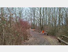 Waldweg in einem laubfreien Mischwald mit dichtem Unterholz, gesäumt von rustikalen Holzbänken und mehreren orangefarbenen Abfalleimern. Der unbefestigte Pfad verläuft geradeaus durch die Bäume.