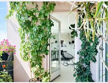 Blick auf den Eingang eines hellen Wohnraums durch eine geöffnete Glastür, umgeben von Kletterpflanzen und Blumen an einer städtischen Terrasse. Im Innenraum erkennbar sind eine schwarze Sitzgelegenheit, Pflanzen und moderne Leuchten.