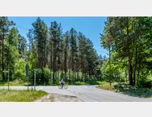 Kreuzung einer Landstraße am Rand eines dichten Kiefernwaldes, mit Straßenschildern und einem Radfahrer, umgeben von üppigem Grün unter klarem, blauem Himmel.