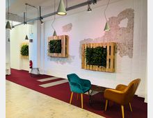 Ein modern gestalteter Innenraum mit weißen Backsteinwänden, teilweise mit abblätterndem Putz. An der Wand befinden sich vertikale Pflanzkästen aus Holzpaletten mit grünem Bewuchs. Vor der Wand stehen bunte Polstersessel und ein runder Beistelltisch auf dunkelrotem Teppichboden.