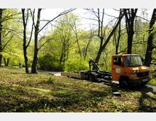 Ein orangefarbener Lastwagen, geparkt auf einem Waldweg in einem Park mit dichten, hellgrünen Laubbäumen; im Vordergrund lichte Vegetation mit Gras und Blättern auf dem Boden.