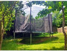 Ein Gartentrampolin mit schwarzem Sicherheitsnetz steht auf einer Rasenfläche, umgeben von Bäumen und Sträuchern. Im Hintergrund sind Holzleisten und dichtes grünes Laub zu sehen.