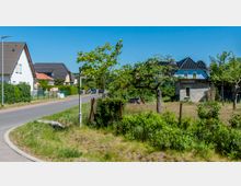 Straßenszene in einem Wohngebiet mit freistehenden Einfamilienhäusern, Vorgärten und grüner Vegetation; im Vordergrund ein kleiner Zaun mit Sträuchern und Wiese, im Hintergrund geparkte Autos entlang der Straße und Bäume.