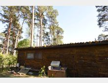 Holzhütte mit brauner Außenverkleidung, flankiert von hohen Kiefern in einem bewaldeten Gebiet. Auf dem flachen Dach liegen Moos und Steine, im Vordergrund stehen einige Gegenstände, darunter ein Betonblock und Holzplatten.