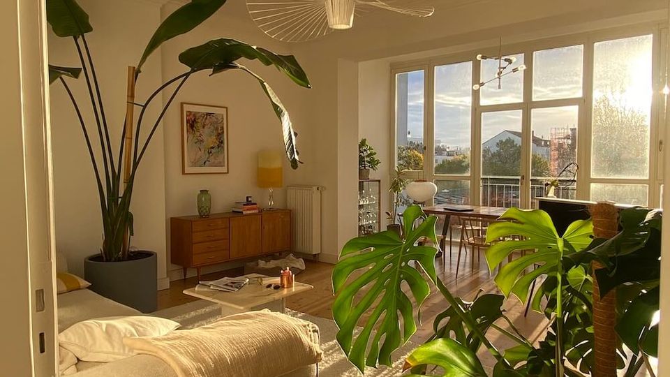 Sunlit open-plan living and dining room with wooden floors, a light sofa and rug, mid-century sideboard, and several large indoor plants. Floor-to-ceiling windows and a small balcony at the far end bring in warm light, with a dining table and modern pendant light near the windows.