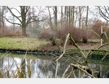 Ein kleiner Teich mit Schilfpflanzen im Vordergrund, umgeben von kahlen Bäumen und Sträuchern in einer herbstlichen Parklandschaft. Im Hintergrund ist eine grüne Rasenfläche und ein Pfosten mit Wegmarkierungen erkennbar.
