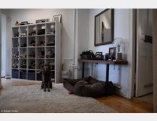 Wohnzimmer mit hellem Holzboden, einem weißen Regal voller Schuhe und einer braunen Konsole mit Spiegel an der Wand. Im Vordergrund ein brauner Hund auf einem Teppich neben einem Hundebett mit einem Spielzeugball.