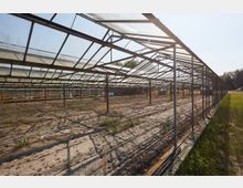 Leere, verfallene Gewächshausstruktur mit freiliegendem Metallgerüst und zersetzten Glasplatten. Der Boden ist trocken, spärlich bewachsen, und die Umgebung zeigt vereinzelte Grünflächen und Bäume im Hintergrund.