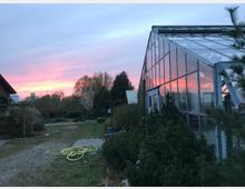 Ein Gewächshaus mit Glasfassade steht in einer ländlichen Umgebung, umgeben von kleinen Bäumen und Sträuchern. Im Hintergrund ist ein Sonnenuntergang mit rosa und violetten Wolken sowie vereinzelter dichter Bewuchs sichtbar.