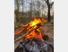 Ein Lagerfeuer brennt, bestehend aus Holzscheiten und Ästen, umgeben von Asche auf dem Boden. Im Hintergrund sind kahle Bäume eines Waldstücks zu sehen, mit leicht dämmerndem Himmel.