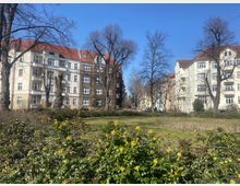 Wohngebäude mit roten Ziegeldächern und hellen Fassaden stehen an einer ruhigen Straße, umgeben von einem kleinen Park mit blühenden Sträuchern, Grasflächen und kahlen Bäumen. Der Himmel ist wolkenlos und blau, das Bild wirkt sonnig.
