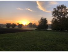 Weite Landschaft bei Sonnenaufgang mit einer Wiese im Vordergrund, Bäumen im Mittelgrund und einem sanften, nebeligen Dunst über dem Feld. Der Himmel ist orange-gelb gefärbt und mit vereinzelten Wolken bedeckt.