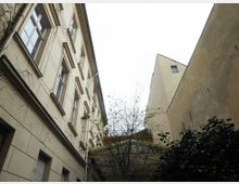 Blick in einen schmalen Innenhof mit hohen, hell verputzten Gebäuden. Im Vordergrund ist ein kleiner Baum und etwas Grünpflanzen, während die Fenster und Fassaden architektonische Details wie verziertes Mauerwerk zeigen.