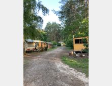 Campingplatz mit Schotterweg, umgeben von Bäumen. Zu sehen sind mehrere Wohnwagen, Zelte und eine kleine gelbe Holzhütte, mit Baumstümpfen als Sitzgelegenheiten davor.