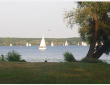 Ein See mit mehreren weißen Segelbooten, umgeben von Wald am Horizont. Im Vordergrund eine Wiese mit Bäumen und Büschen.