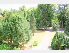 Gartenbereich mit Rasenfläche, umgeben von hohen Bäumen und Büschen, sowie einem schmalen gepflasterten Weg, der zu einem Tor aus Metall führt. Im Hintergrund ist eine ruhige Straße sichtbar.