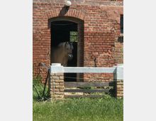 Eingang eines Backsteinstalls mit rundbogigem Türsturz und Außenlampe über der Öffnung. Davor steht ein niedriger Zaun aus Holz und gemauerten Pfeilern auf einer grasbewachsenen Fläche.