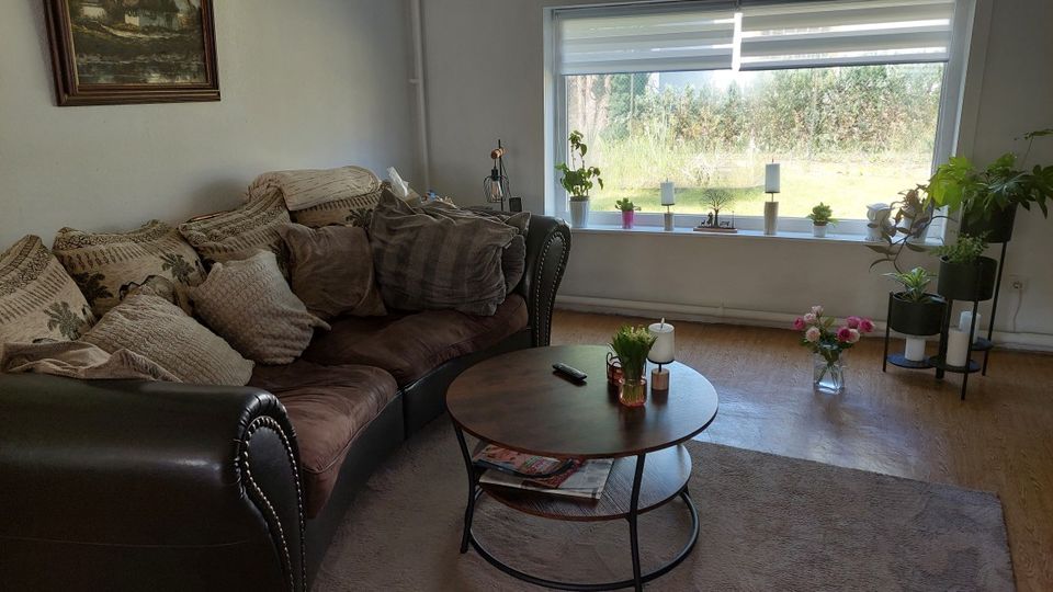 Wohnzimmer mit großem Ecksofa und rundem Couchtisch auf einem Teppich, dazu Dekoration und Blumen. Ein breites Fenster mit halb geöffneten Rollos und Pflanzen auf der Fensterbank blickt auf eine Grünfläche; daneben stehen Pflanzenregale auf Holzboden.