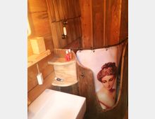 Ein kleines Badezimmer mit Wänden aus rustikalem Holz. Zu sehen sind ein weißes Waschbecken, ein Holzregal, ein dekorativer Duschvorhang mit einem Porträt einer Frau sowie eine alte, nostalgische Handbrause.