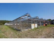 Eine Reihe verfallener Gewächshäuser mit rostigen Metallrahmen und zerbrochenen Glasdächern, umgeben von trockener Vegetation und Wiesen, vor einem Hintergrund aus Bäumen und blauem Himmel.